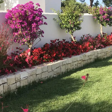 La Petricor Бари